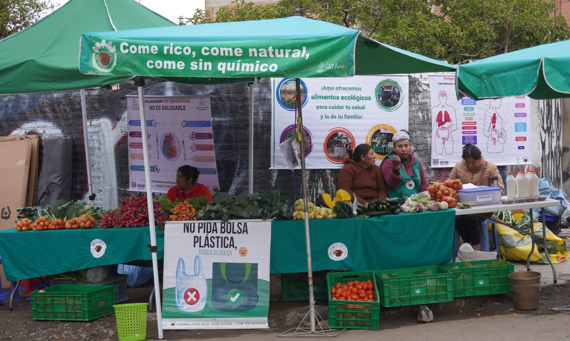 La complejidad detrás de las y los vendedores: Tipología de productores en ferias populares de Cochabamba