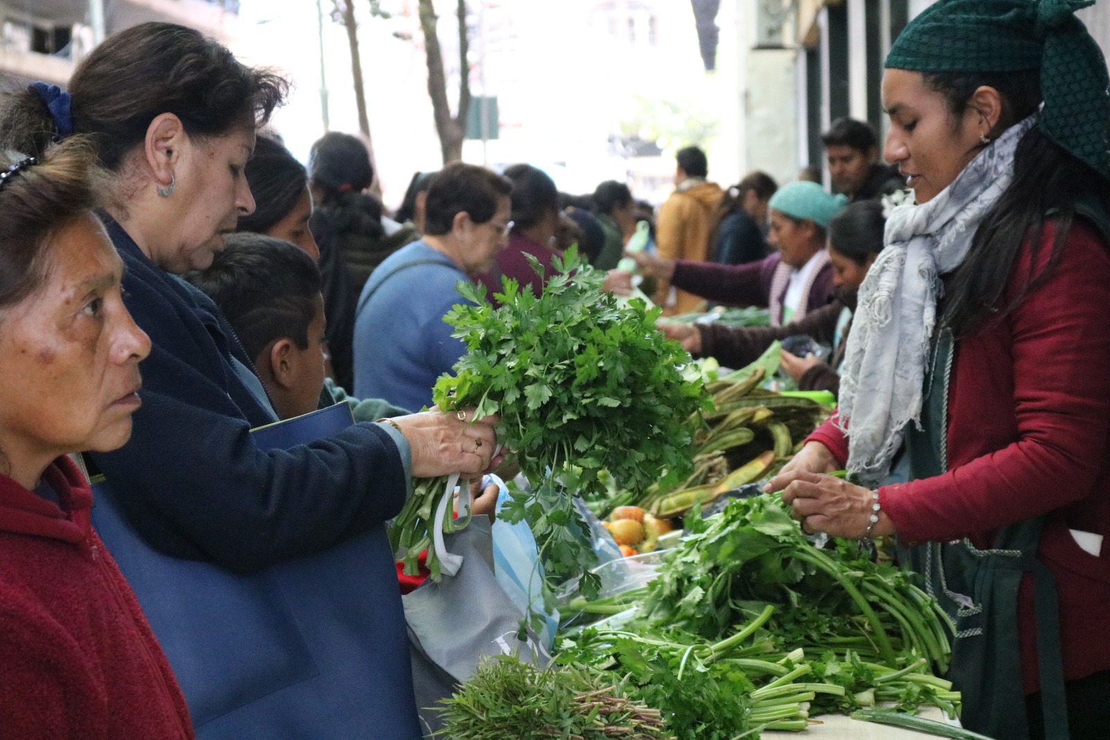 WhatsApp Image 2025-06-18 at 8.54.42 PM (2)